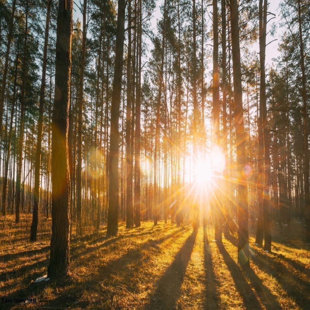 Itinatanggi ng Bibliya ang Pagka-Diyos ni Hesus (bahagi 2 ng 7): Mga Gawa ng mga Apostol