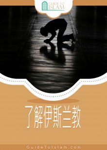 了解伊斯兰教
