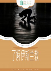 了解伊斯兰教