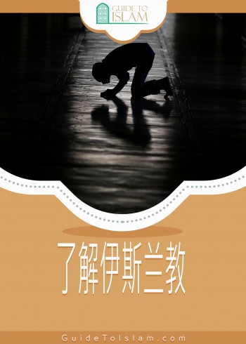 了解伊斯兰教