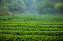 不可知论（3/4）：伪宗教的产物