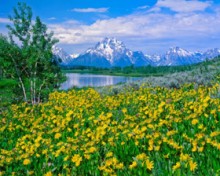 Ang Pagpapahintulot ng Propeta sa Ibang mga Relihiyon (bahagi 1 ng 2): Sa Kani-kanilang Relihiyon