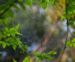 Атеизм. Отрицание очевидного (часть 1 из 2)