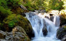 Chapitre 108, Al-Kaouthar (L’abondance)