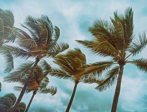 Chapitre 51, Adh-Dhariyat (Les vents qui éparpillent)