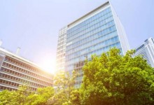 Chapitre 80, Abasa (Il s’est renfrogné)