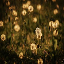 La Profecía en el Islam (parte 1 de 2): La naturaleza de la Profecía