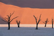 L’ajustement fin de l’univers (partie 5 de 8): Objections à l’ajustement fin