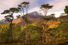 L’ajustement fin de l’univers (partie 7 de 8): Les univers multiples