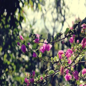 The Correct Response to Those Who Altered the Religion of Jesus 09