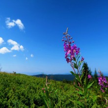 अल्लाह की पनाह (शरण) मांगा करो आज़माइश (आफत) की दुश्वारी से