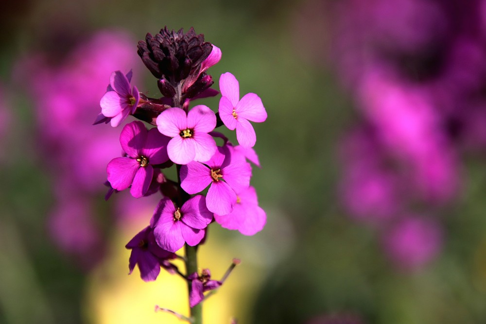 El Significado De “Bendición”