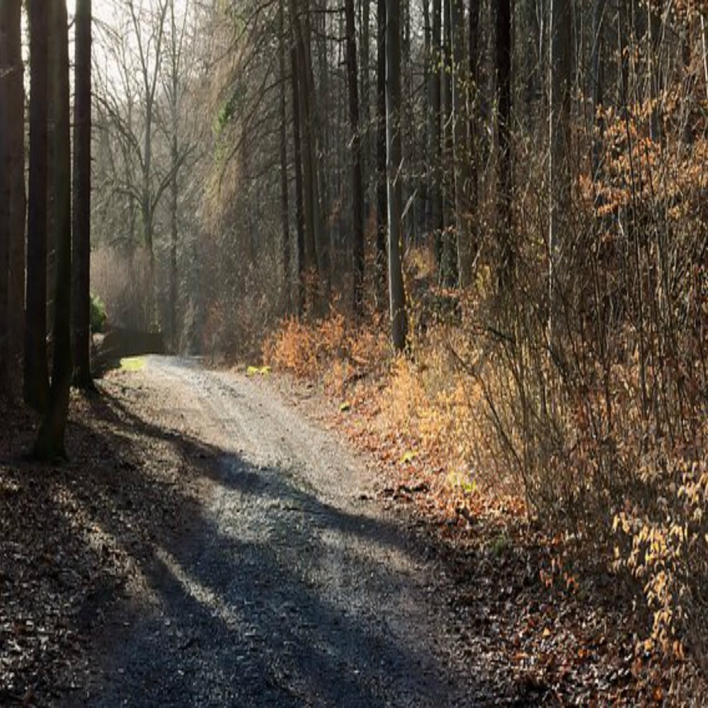 Mga Piling Hadith ( IkaapatnaYugto ) 14