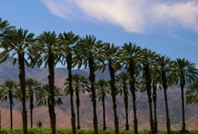 La Preservazione Divina della Sunnah (4 di 7): La Preservazione dell'Isnaad