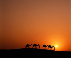 A Verdade é Uma (parte 2 de 2)