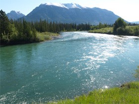 La santé en islam (partie 1 de 4) :  Une approche holistique