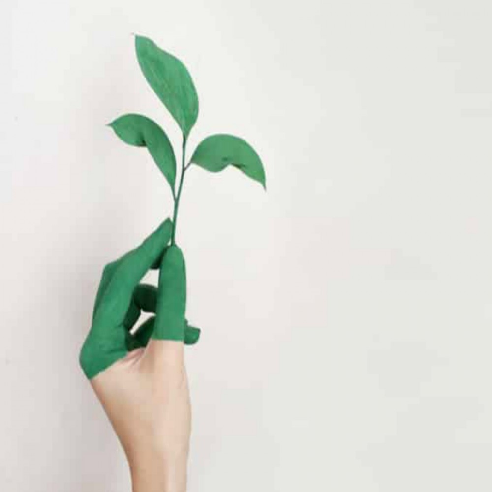 Os Prazeres do Paraíso (parte 2 de 2)