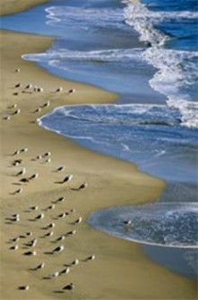 Qui inventa la trinité? (partie 2 de 2)