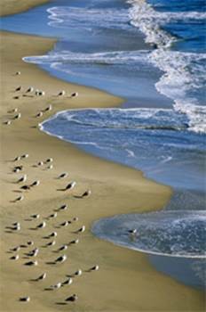 Qui inventa la trinité? (partie 2 de 2)