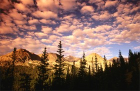 Права человека в Исламе (часть 1 из 3): Права для всего человечества