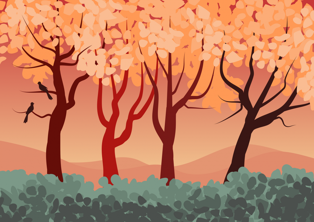 Cuatro Asuntos Que Sabiamente Prohibió Allah Y Su Mensajero