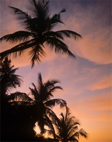 Le concept islamique de la spiritualité