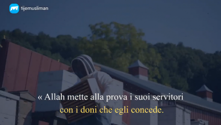 Essere contenti di quello che si ha !