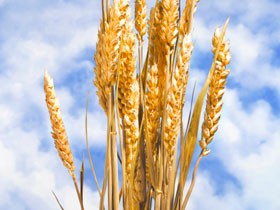 Jesus, filho de Maria (parte 3 de 5): Os Discípulos