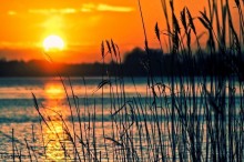 Ang mga Pakinabang ng Pagpasok sa Islam (bahagi 3 ng 3)