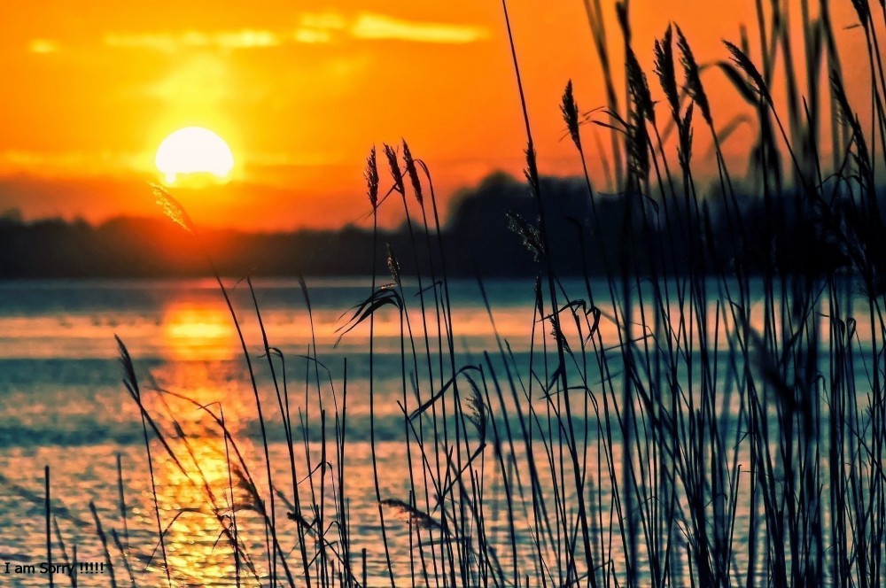 बाइबिल यीशु की दिव्यता को नकारता है (7 का भाग 4): बाइबिल और क़ुरआन में सबसे बड़ी धर्मादेश