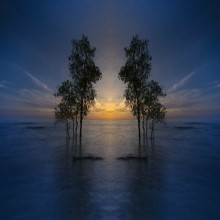 L'Elevazione della Condizione Femminile (3 di 5): Una Differenza Fondamentale