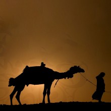 Who Is the Prophet Muhammad ?