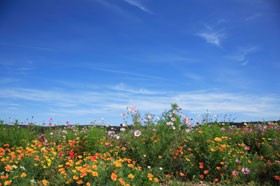 Sistema morale dell'Islam (parte 1 di 2): Lo standard di moralità