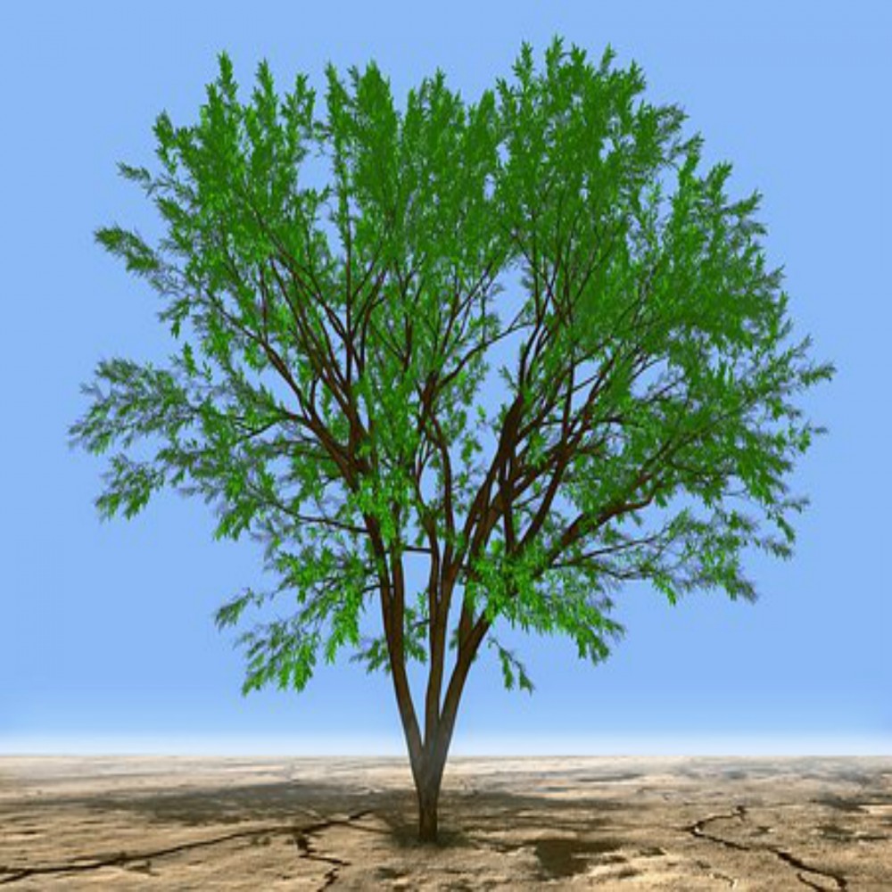 Mga Piling Hadith ( IkaapatnaYugto ) 28