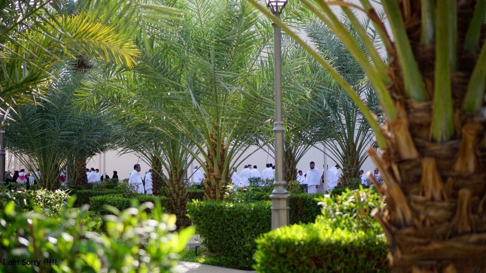 A Verdadeira Riqueza (parte 1 de 2)