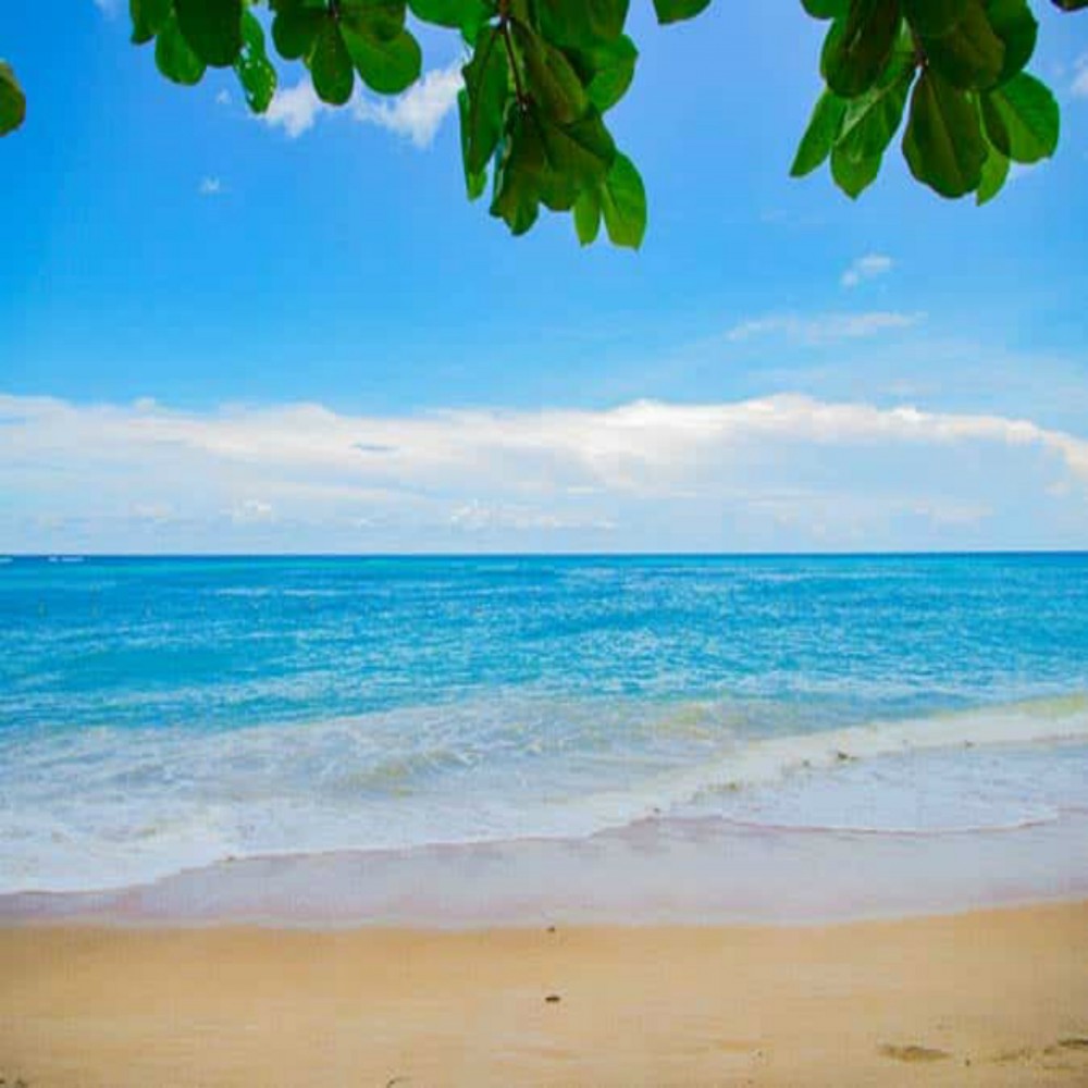 Os Milagres de Muhammad (parte 2 de 3)