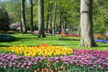 世界与西方的一夫多妻