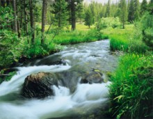 Спасение от адского огня