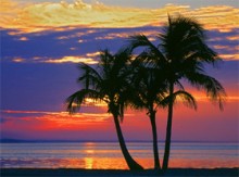 Cientistas e Religião (parte 2 de 2): Cientistas Religiosos