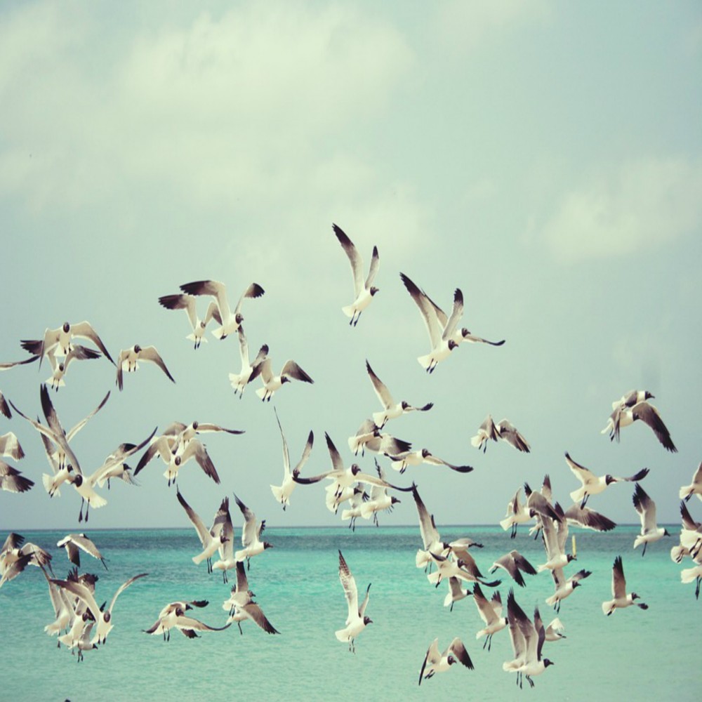 LES DROITS DES NON-MUSULMANS EN ISLAM (PARTIE 2 DE 13) : LES RÉSIDENTS NON-MUSULMANS