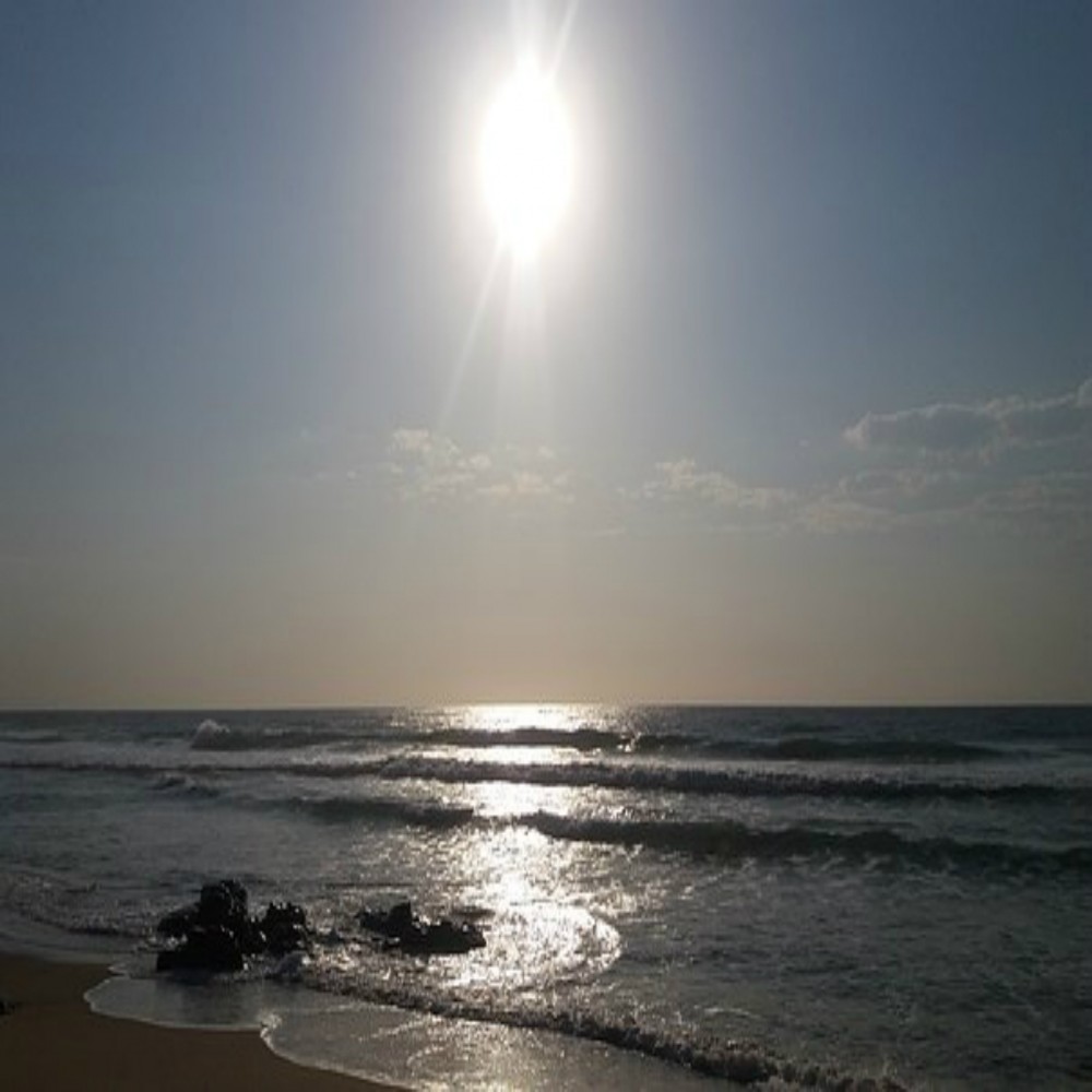 年斋月系列《心灵的功修》22