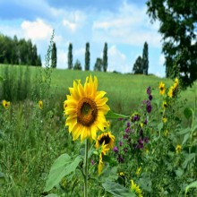 《古兰经》的故事（4/4）：现在之《古兰经》与未来