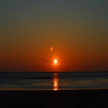 Ang Paniniwala sa Allah