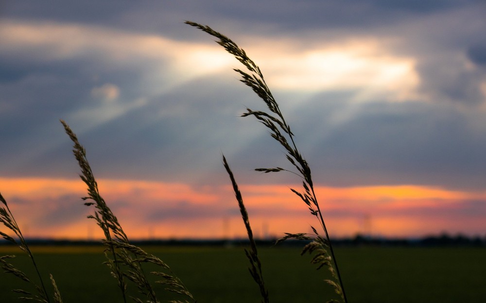 Il concetto di Dio nell'islam (parte 1 di 2): Un concetto unico