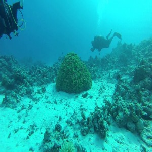 The Quran on Deep Seas and Internal Waves