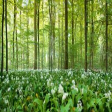 Uma Breve Introdução ao Islã (parte 1 de 2)