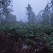 The Correct Response to Those Who Altered the Religion of Jesus 06