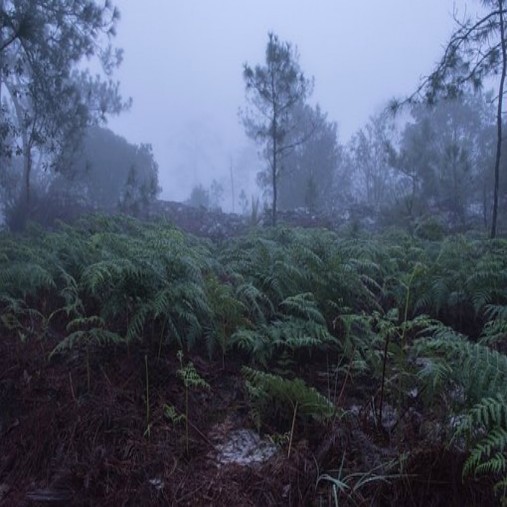 发现真实的耶稣（6/6）：结论