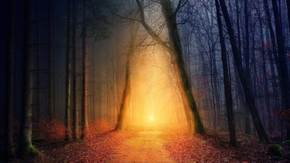 स्वर्ग के सुख (2 का भाग 1)