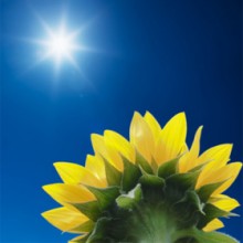 Las Virtudes Del Mes De Sha’ban